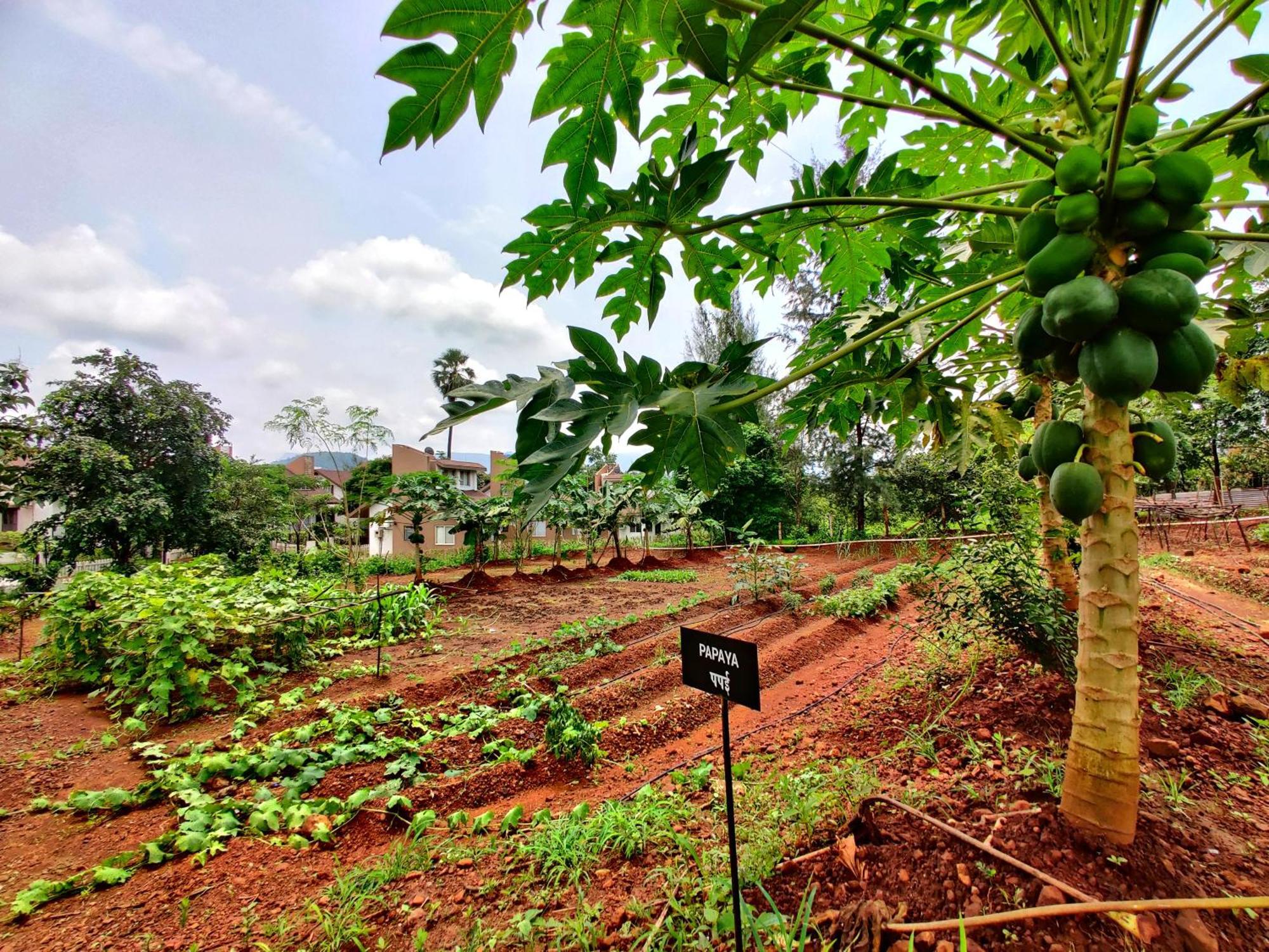 Pushpam Sanskruti Resort Karjat - A Pure Veg Resort Dhamni Экстерьер фото